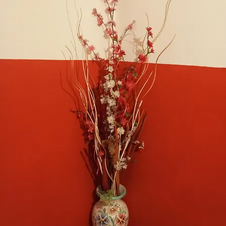 Bed and Breakfast My Dream San Pietro in Campiano