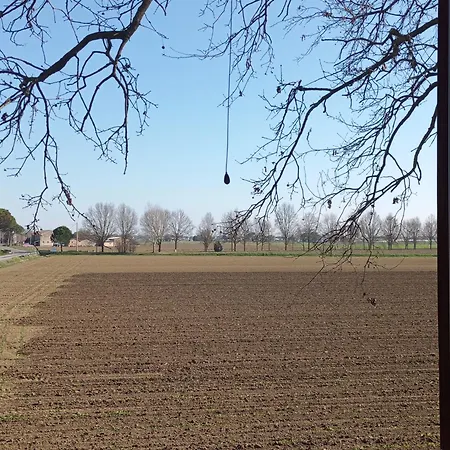 My Dream * San Pietro in Campiano