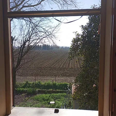 My Dream Bed and Breakfast *