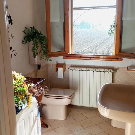 My Dream * San Pietro in Campiano