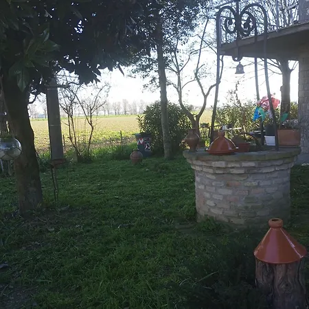 My Dream * San Pietro in Campiano