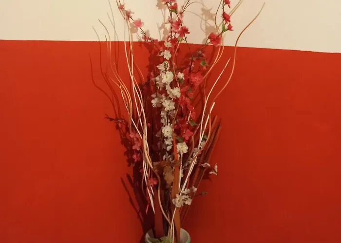 住宿加早餐酒店 My Dream San Pietro in Campiano