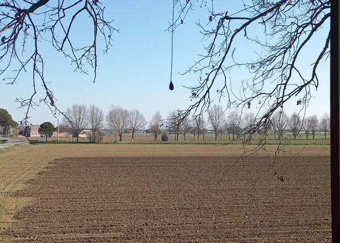 My Dream * San Pietro in Campiano