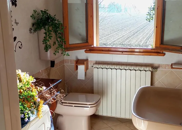 My Dream * San Pietro in Campiano